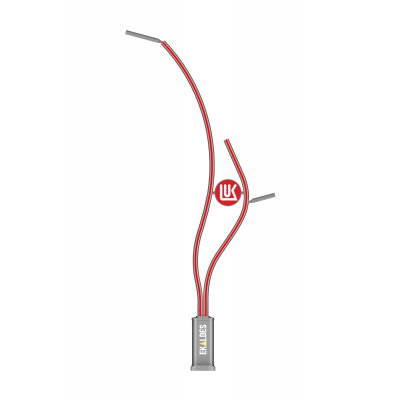 Aluminum Lighting Pole for Filling Station (RS-LPF-1100) Aluminum Lighting Pole for Filling Station (RS-LPF-1100)